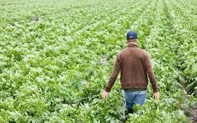 Απόφαση ανάρτησης αποτελεσμάτων αξιολόγησης για το Υπομέτρο 6.1 «Εγκατάσταση Νέων Γεωργών» του Προγράμματος Αγροτικής Ανάπτυξης της  Ελλάδας 2014-2020»