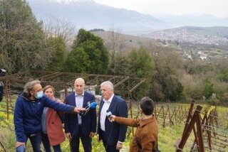4.000 στρέμματα δασωμένοι αγροί στο Δήμο Ζίτσας, ξανά στα χέρια των  ιδιοκτητών τους