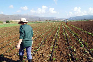 Από τις 10 Φεβρουαρίου οι δηλώσεις για τις νέες γεωργοπεριβαλλοντικές ενισχύσεις